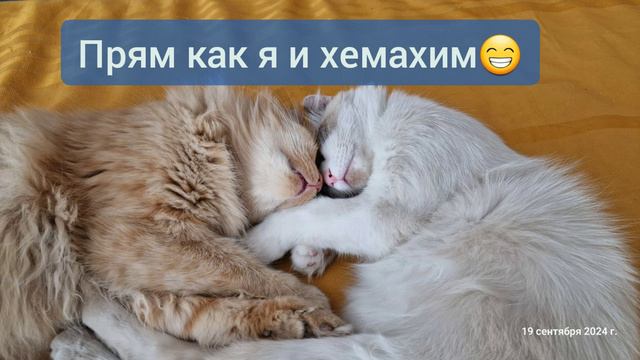 Заказать Атоми хемохим - это ко мне!