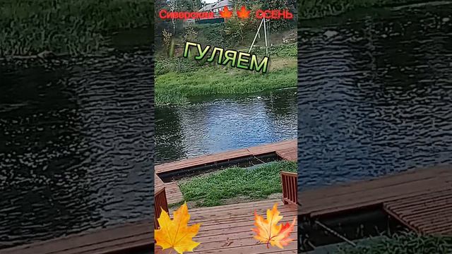 Сиверская  гуляем👍😊🍁