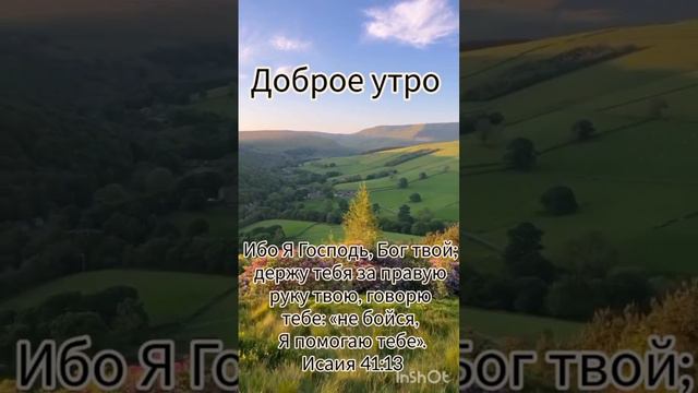 Доброе утро  🌄