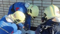профессиональная работа