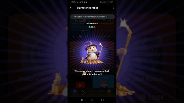 Новое комбо Hamster Kombat 31.05-01.06