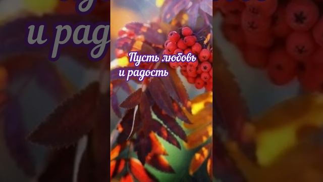 Рябиновые бусы#доброеутро#панаровская#чумаков#shorts