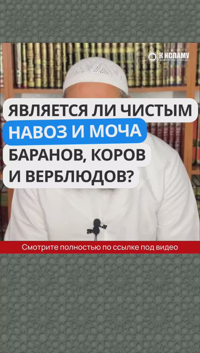 3_27_3_30_Является_ли_чистым_навоз_и_моча_баранов,_коров_и_верблюдов