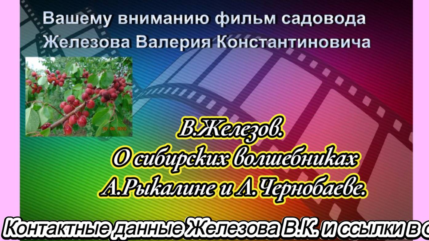 В.Железов. О сибирских волшебниках А.Рыкалине и Л.Чернобаеве.