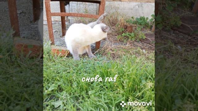 соня🥰😊