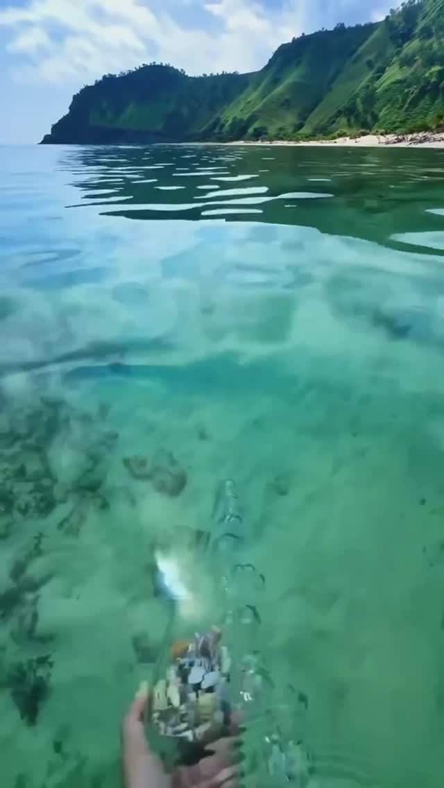 Отдых на море, всегда оставляет положительные эмоции