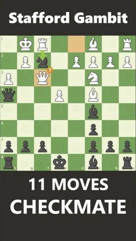 CHECKMATE in 11 Moves