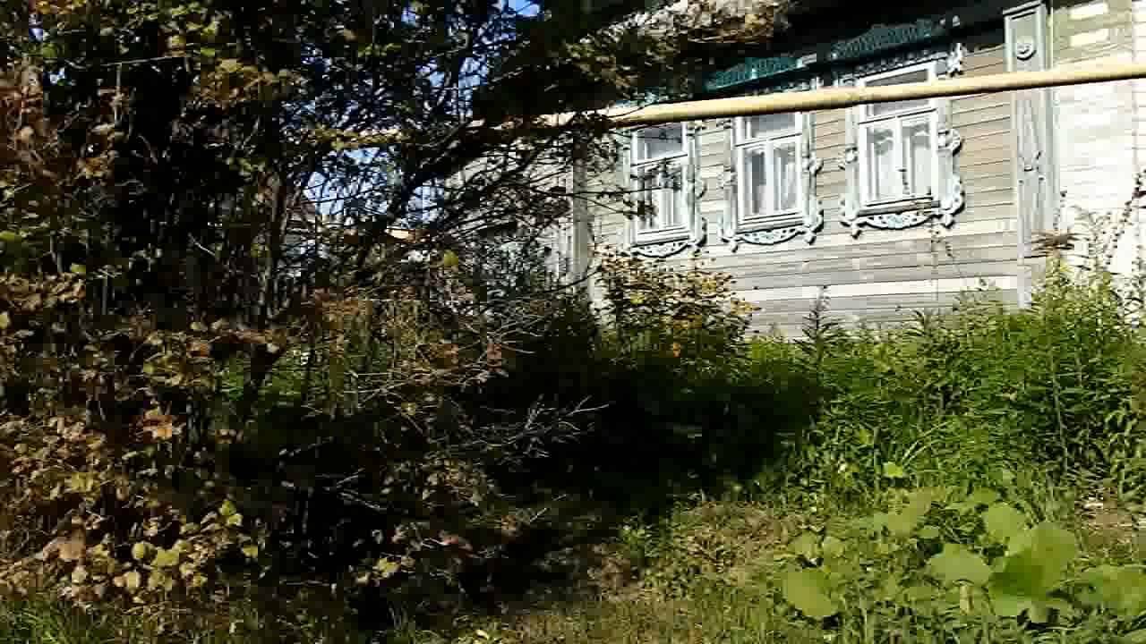 Деревня  " Большое Содомово" -Кантауровский с/совет -  18 сентября  2024 г.
