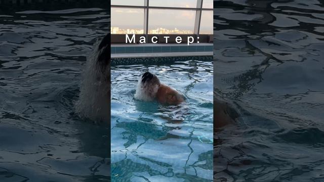 Больше интересного о мастерах в профиле