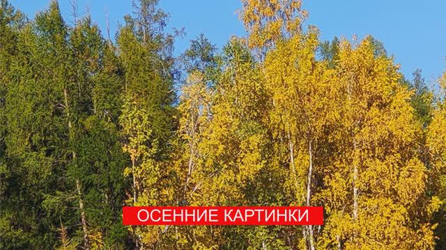 Осенние картинки | Николай Артемьев