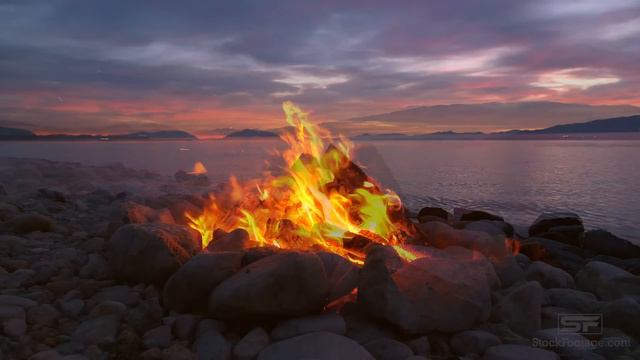 Relaxing Campfire by Lake at Sunset, Stress Relief, Meditation Peaceful Deep Sleep