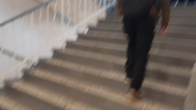 обзор на мою школу