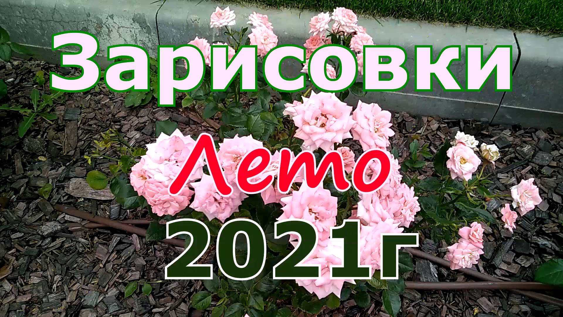 Зарисовки Лето 2021 #улицы #дворы #парки #Цетральный_район