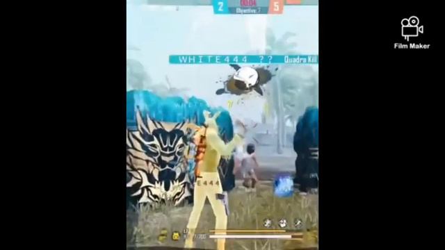 white 444 op headshot