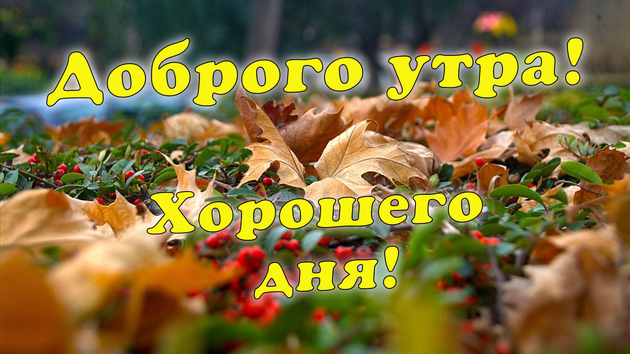 Доброго  утра! Хорошего дня!