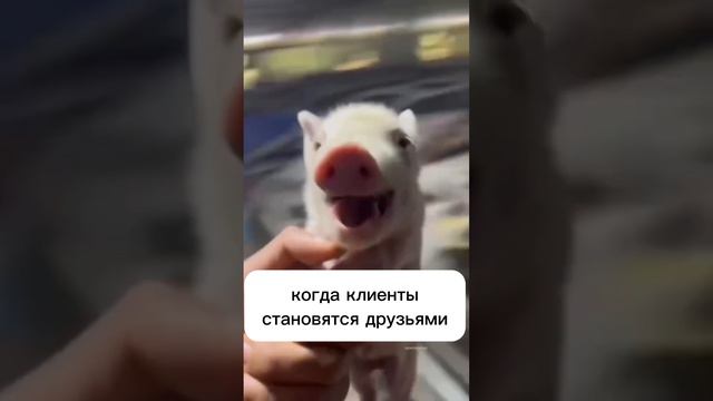 Когда клиенты становятся друзьями ♥️