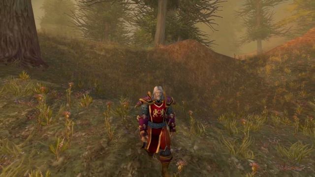 Just an ordinary day in the Western Plaguelands (WoW Classic)