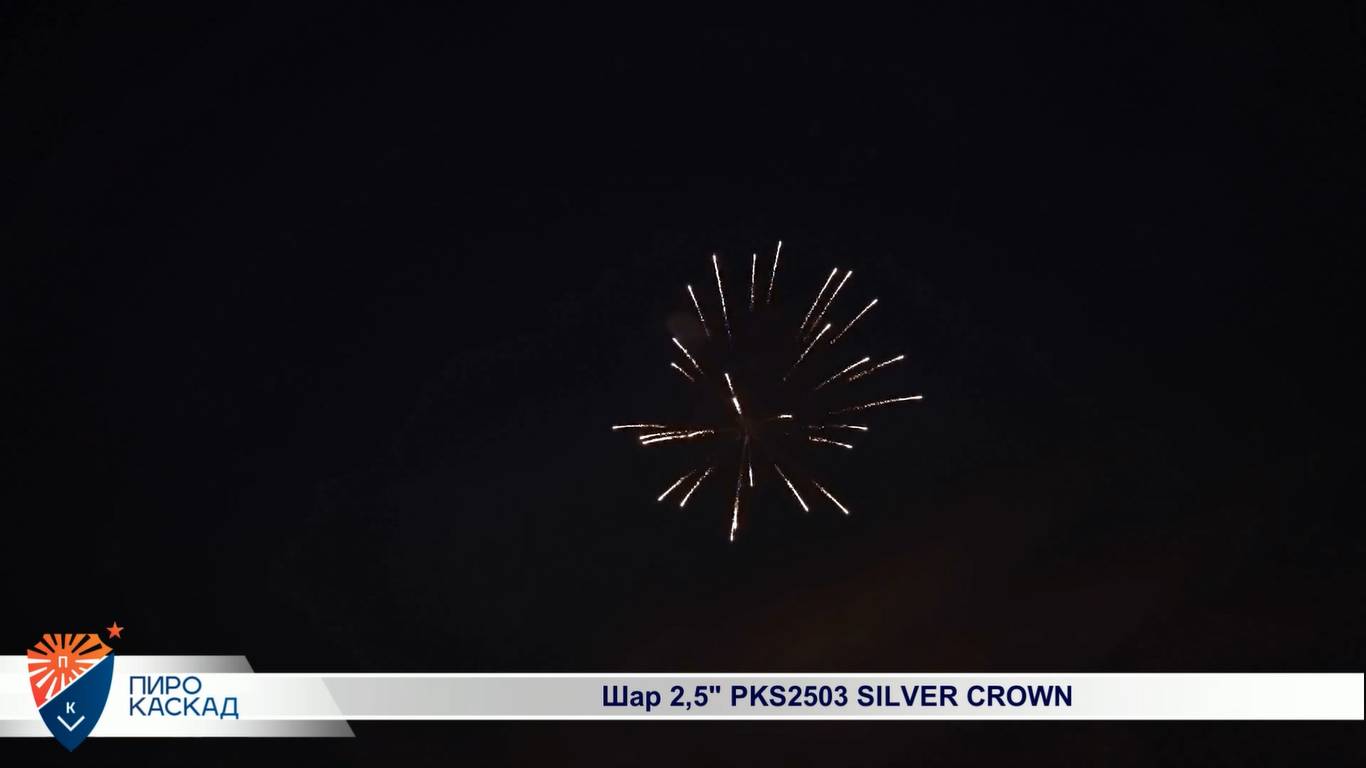 Шар 2,5" PKS2503 SILVER CROWN