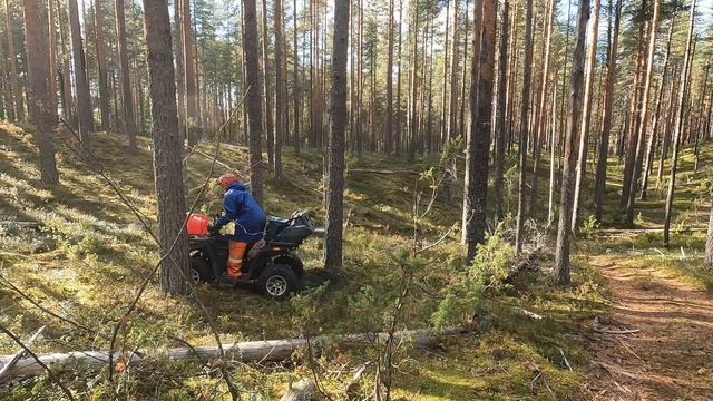 Покоря внедорожье в Карелии