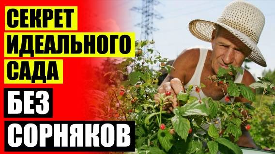 ⛔ УДАЛЕНИЕ СОРНЯКОВ ОТЗЫВЫ ❌