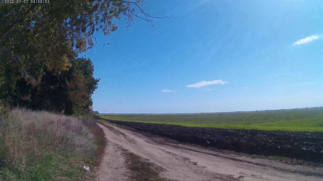 Поездка за грибами.😊