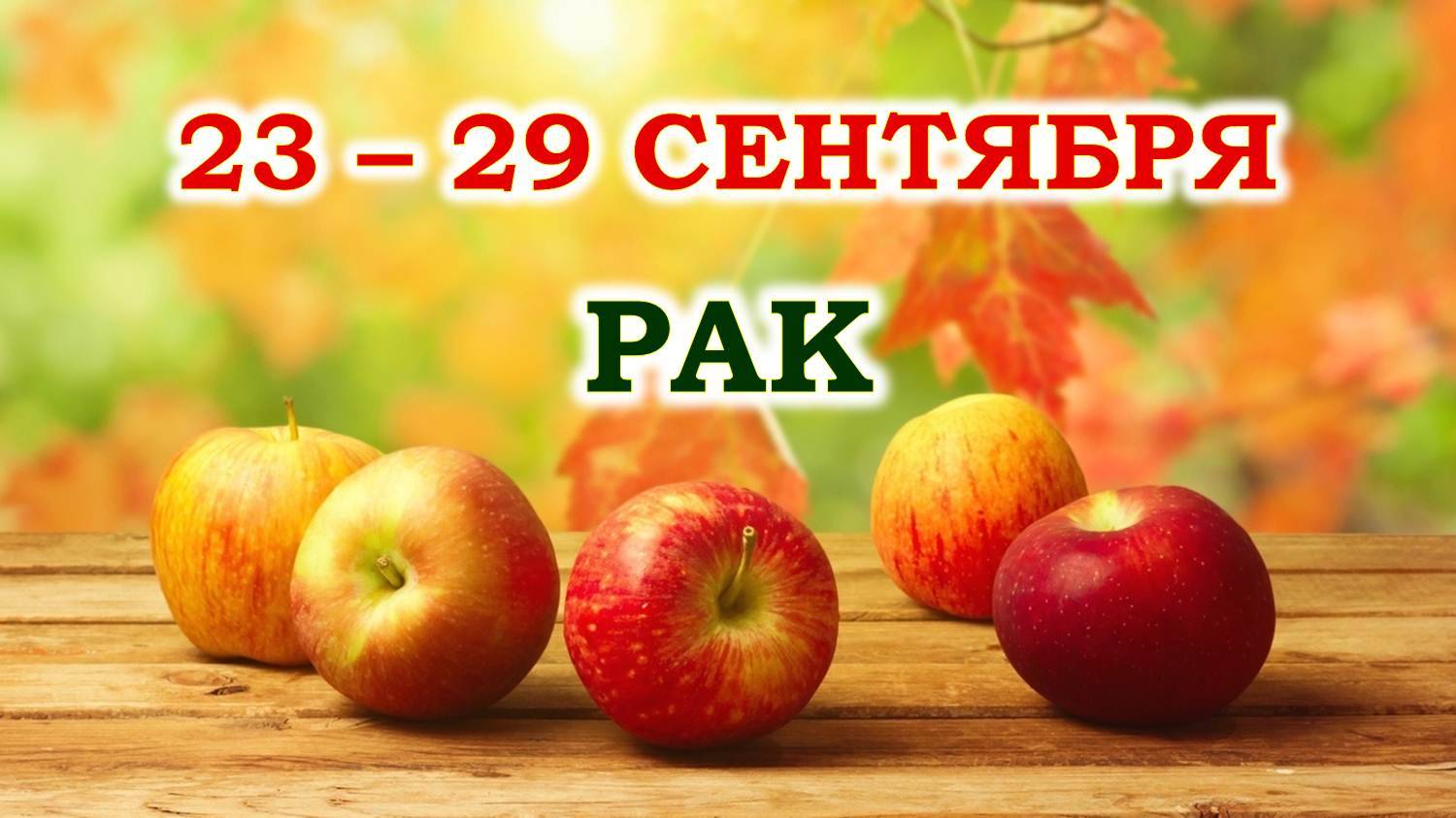 ♋ РАК. 🍎 С 23 по 29 СЕНТЯБРЯ 2024 г. 🍁 Таро-прогноз 🌞