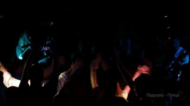 Ладушка - Птица
