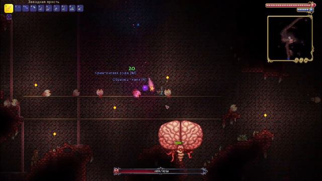 Terraria Cthulchu Brain