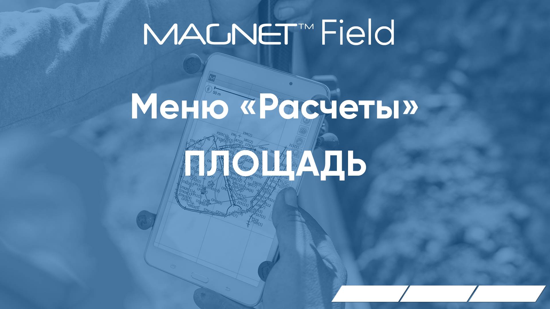 MAGNET Field. Меню Расчеты. Площадь.