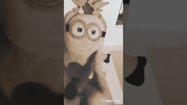 Бай бай бай