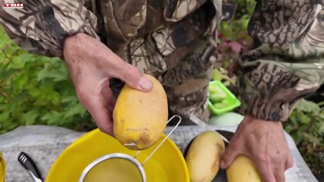 Программа Вперед, товарищи! На дачу! от 17.09.24