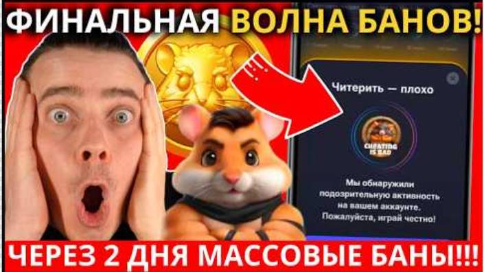 ⚠️HAMSTER KOMBAT - 🔥СРОЧНО! 🔴НОВАЯ ВОЛНА БАНОВ! ЧЕРЕЗ 2 ДНЯ ЗАПУСТЯТ МАССОВЫЕ БАНЫ! ВОТ ЧТО ДЕЛАТЬ