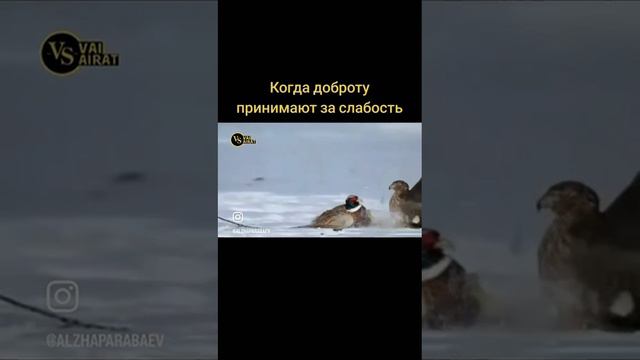 # доброта 💪