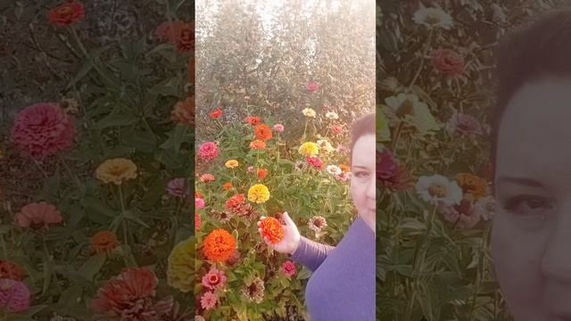 Обзор моей дачи🤗🌺🌸🌞🥰