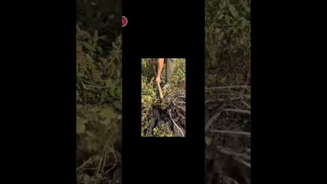 1000003268.mp4