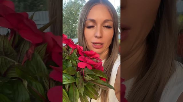 Интересно, сколько Мишек у меня тут? 🤗 #nastenchka #fyp #love #viral #reels #trending #рекомендации