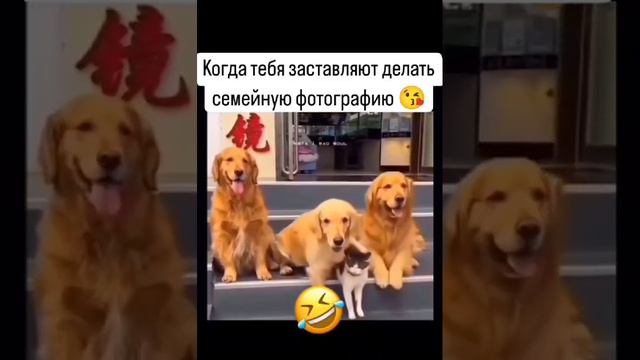 Семейное фото