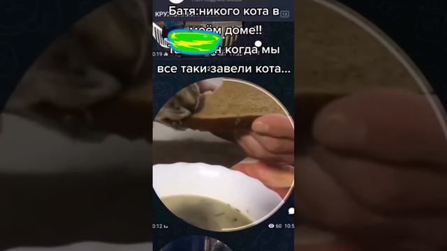 кот и суп с хлебом