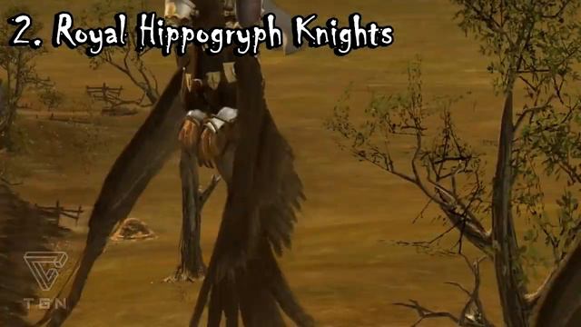 Top 5 Bretonnia Units in Total War: Warhammer