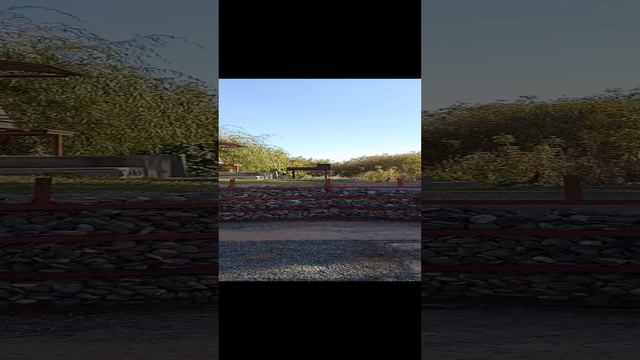 1000038439.mp4