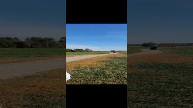 1000008522.mp4