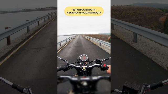 Что такое ветки реальности?