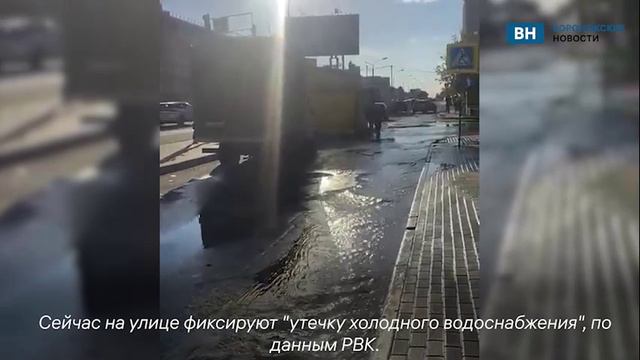 На Шишкова в Воронеже снова увидели бурлящую грязную реку