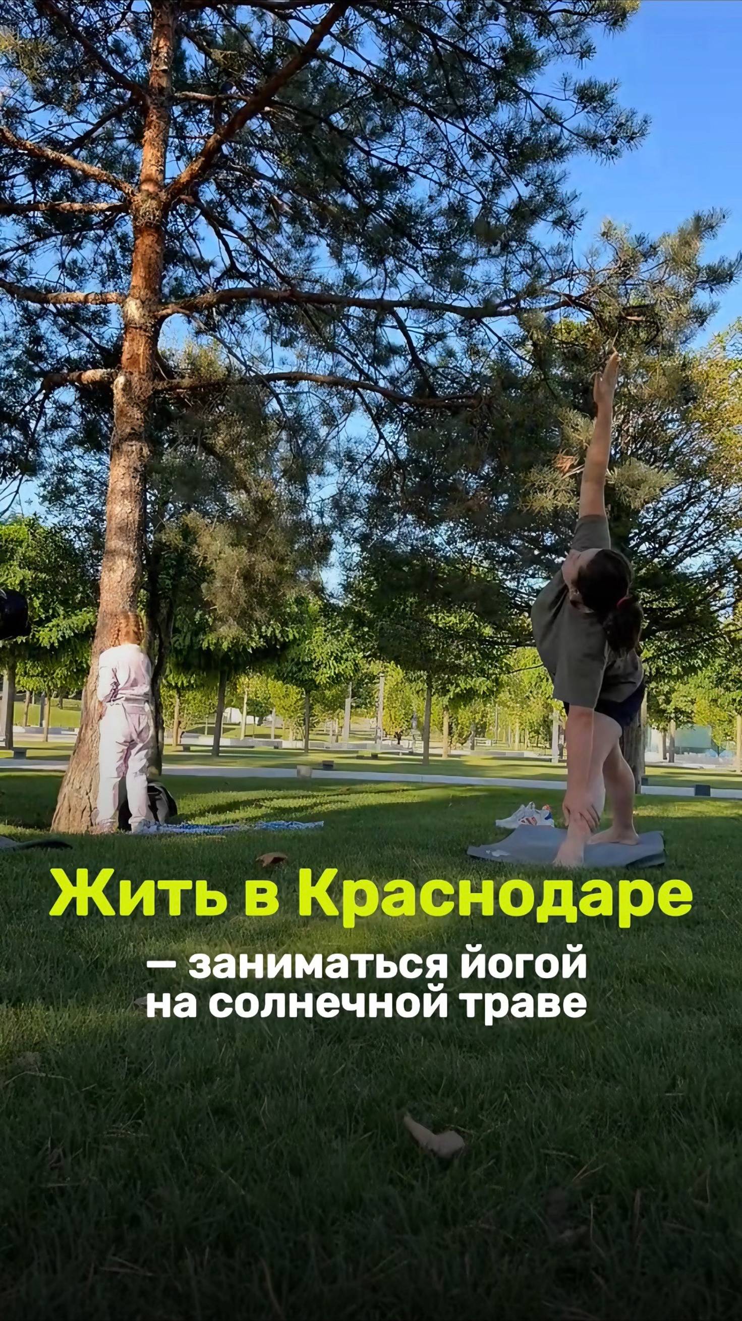 Жить в Краснодаре - заниматься йогой на траве #краснодар #йога #переезднаюг