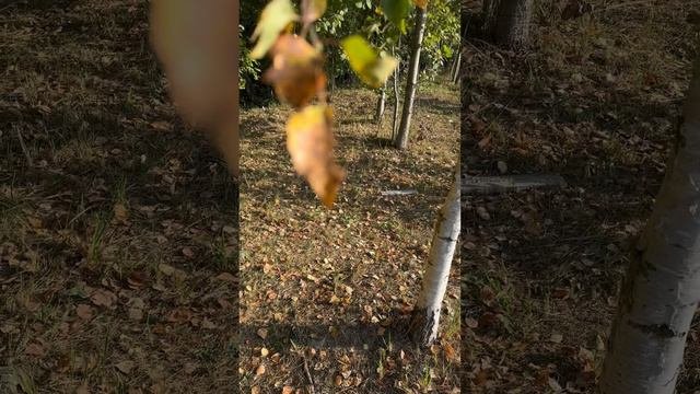 Счастье в мелочах