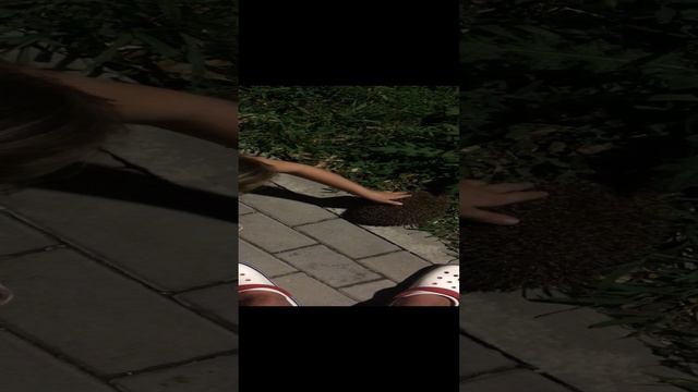 Ёжики часть 2