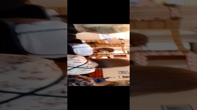 VID_20240915_120911.mp4