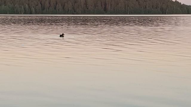 VID_20240525_202011