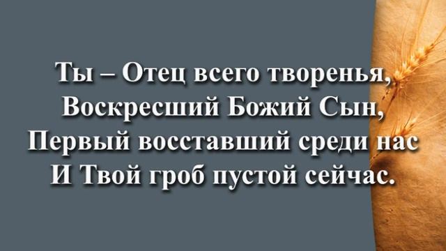 Иду в Твое присутствие.