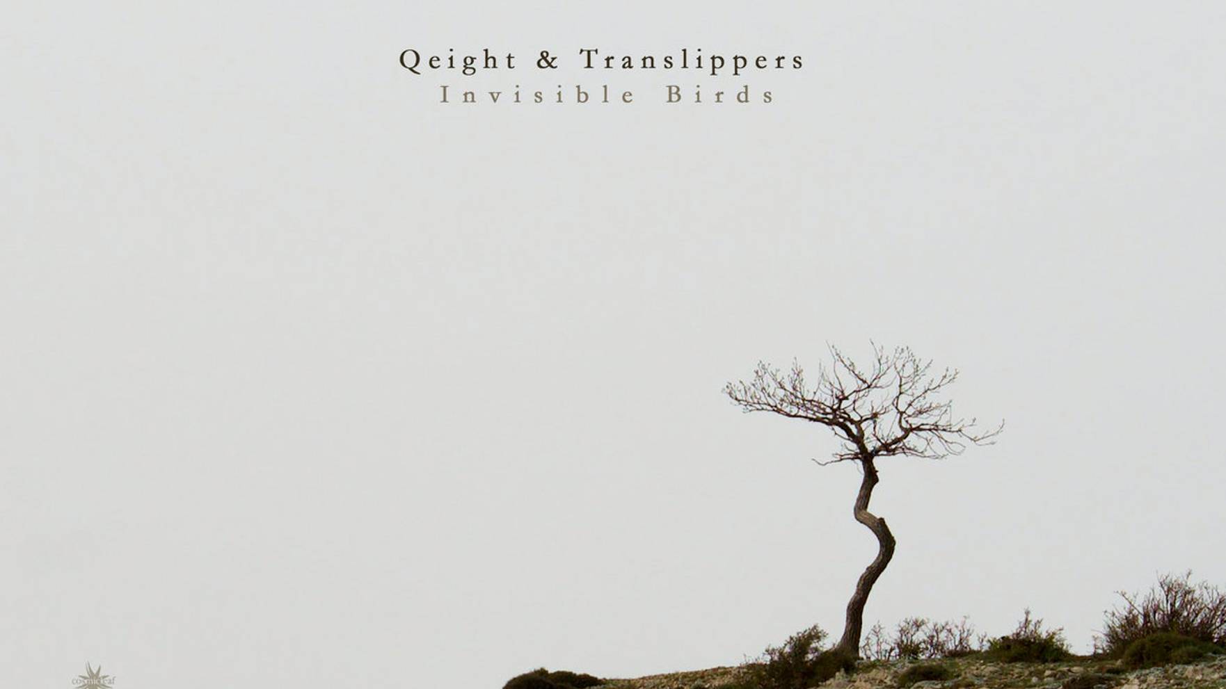 Qeight & Translippers - Invisible Birds